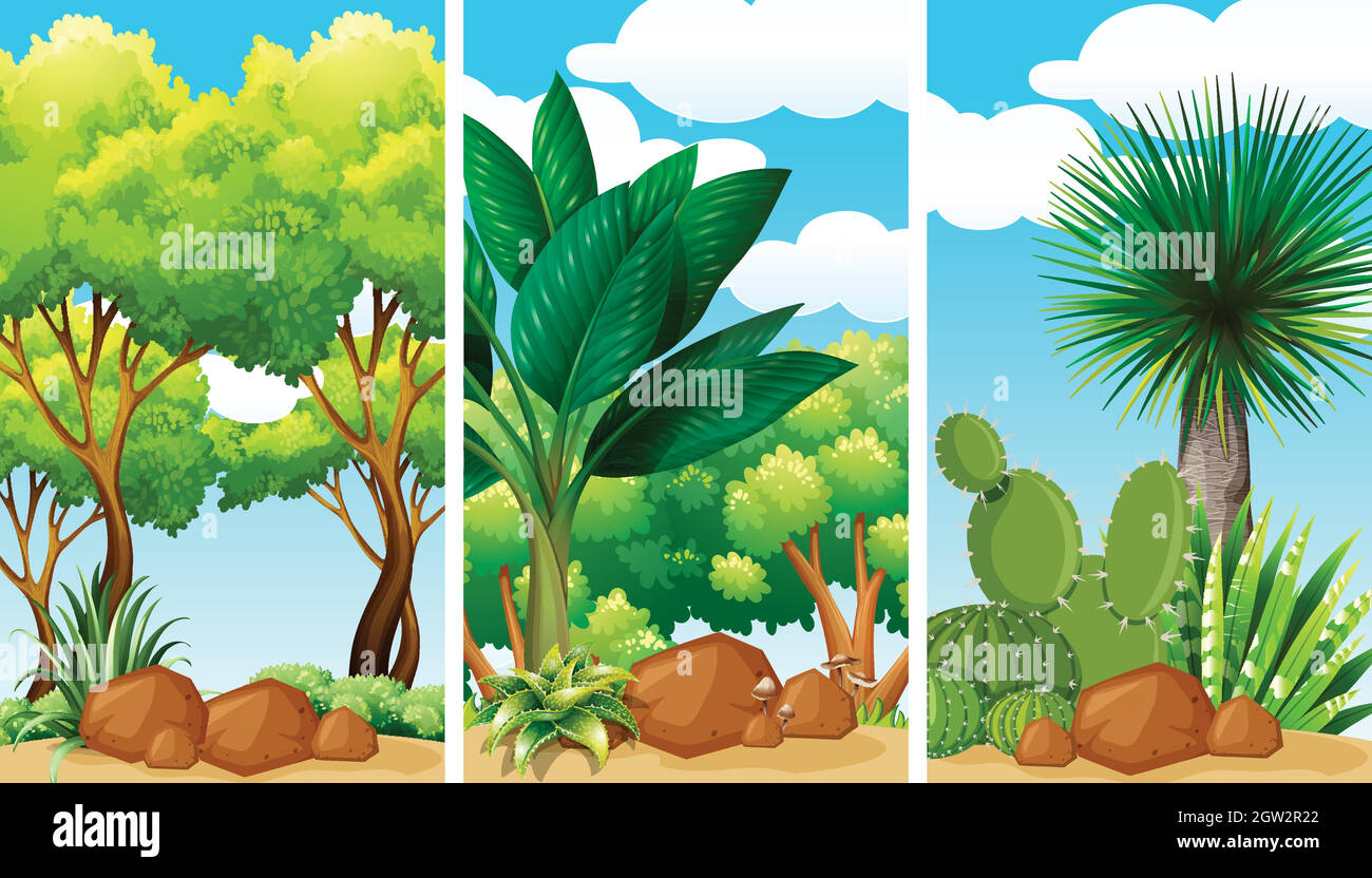 Garden scenes with plants and rocks Stock Vector