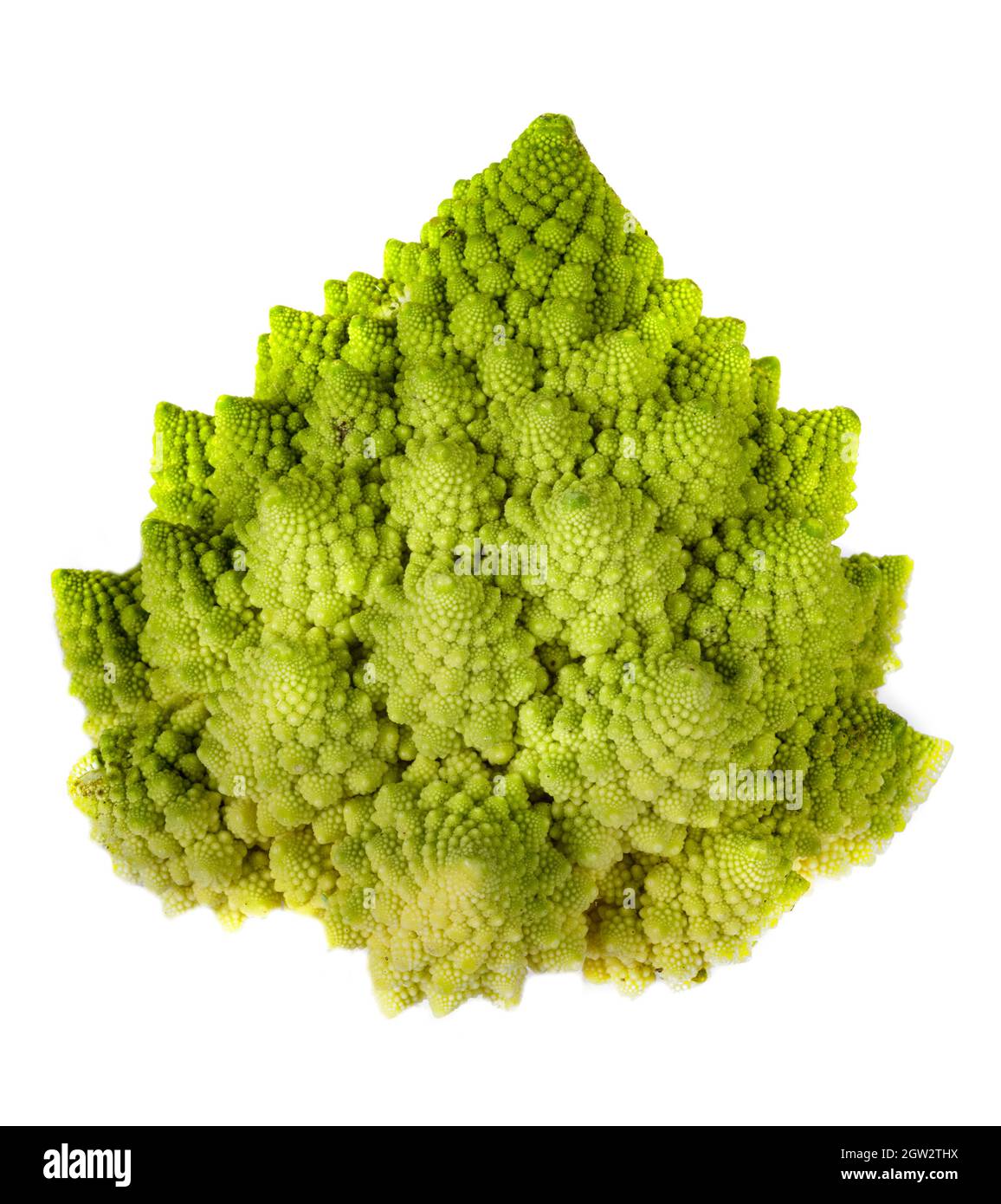 Close-up Of Romanesco Cauliflower On White Background Stock Photo