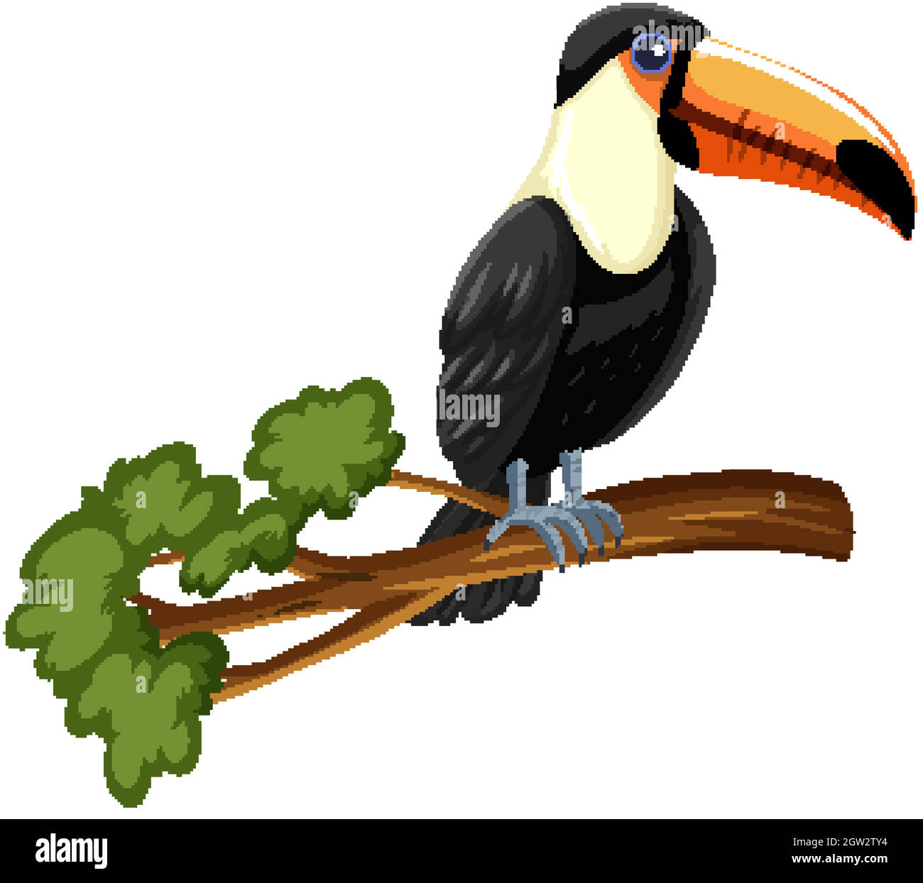Toucan bird on a branch isolated on white background Stock Vector Image &  Art - Alamy