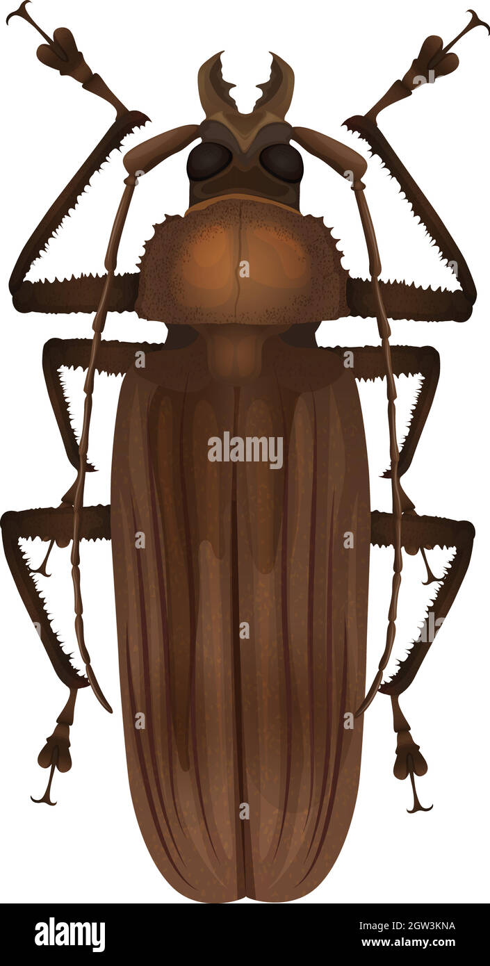 Titan beetle  - Titanus giganteus Stock Vector