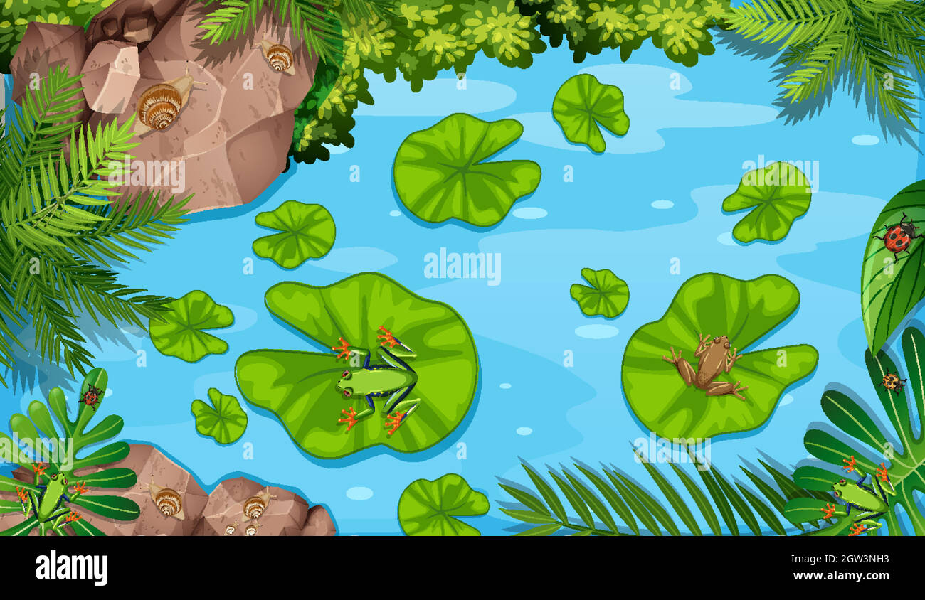 Aerial scene with frogs and lotus leaves in the pond Stock Vector Image ...