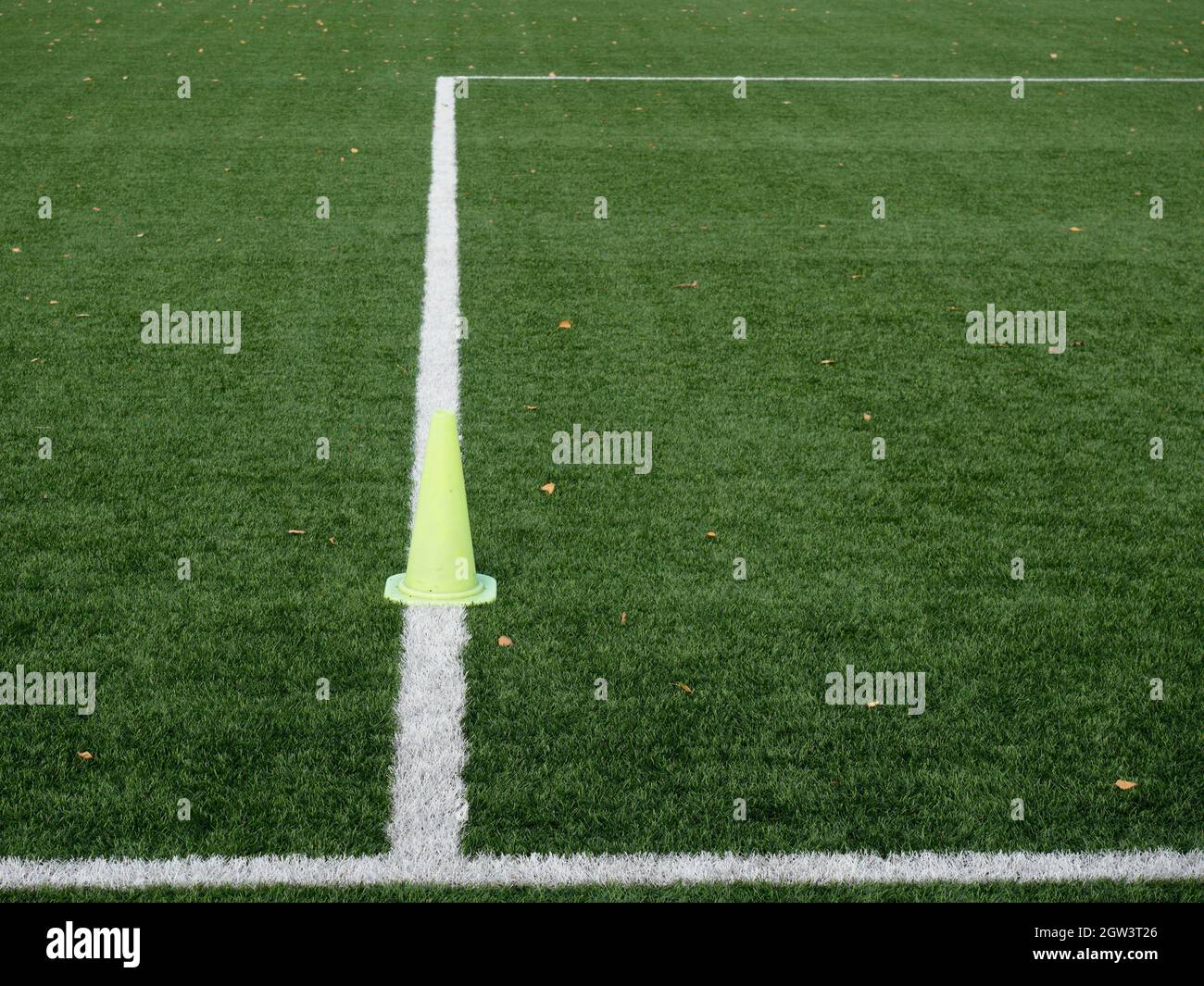 Soccer Turf. Field With Bright Green Artificial Turf And Fallen Leaves