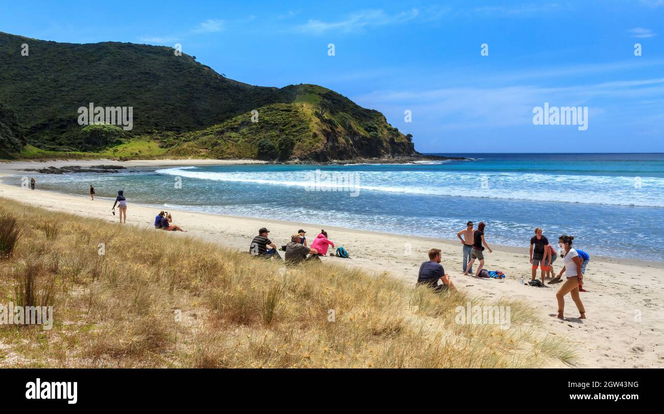 The beach at Tapotupotu Bay, Northland, New Zealand, with a group of tourists enjoying the summer sun Stock Photo