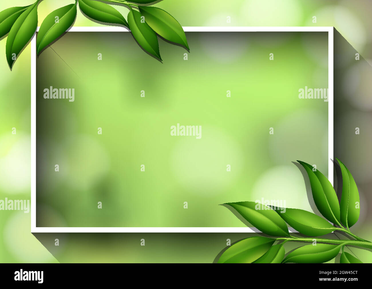 Border template with green leaves Stock Vector Image & Art - Alamy