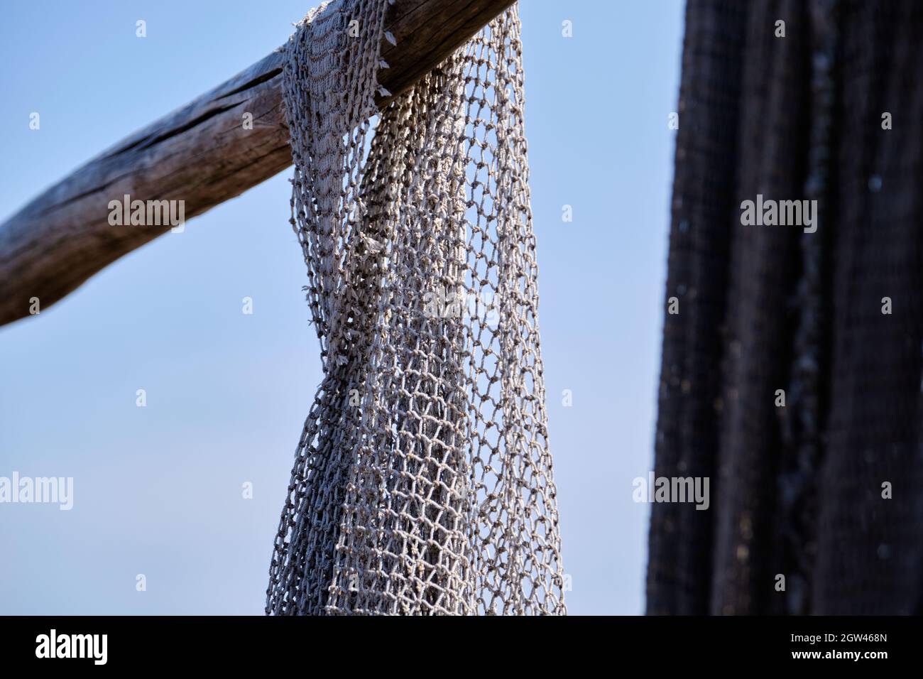 Fish Nets Atocking Fishnet stockings texture High Resolution Stock Photography and Images ...