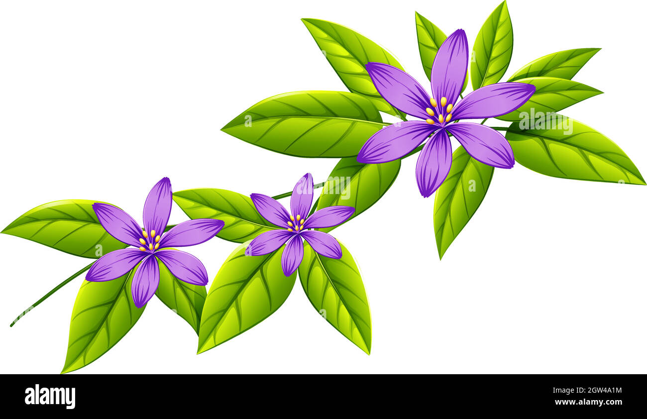 A flowering plant Stock Vector