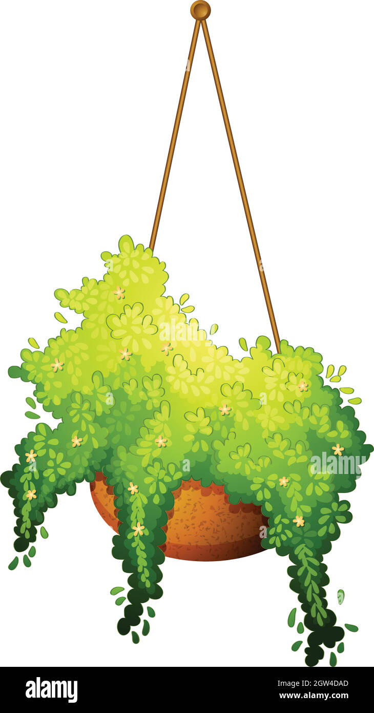 A hanging plant Stock Vector