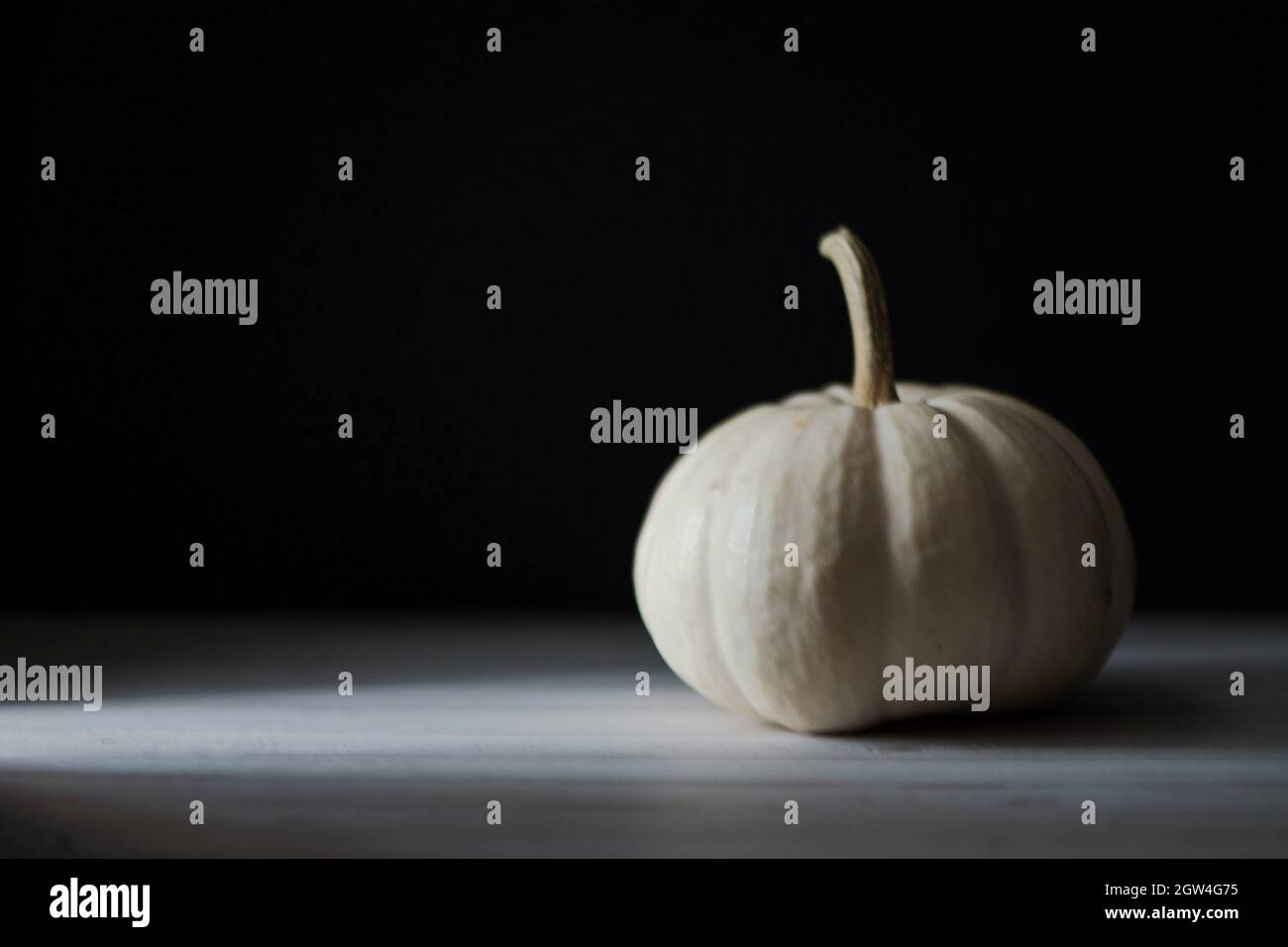 White pumpkin on a black background Stock Photo - Alamy