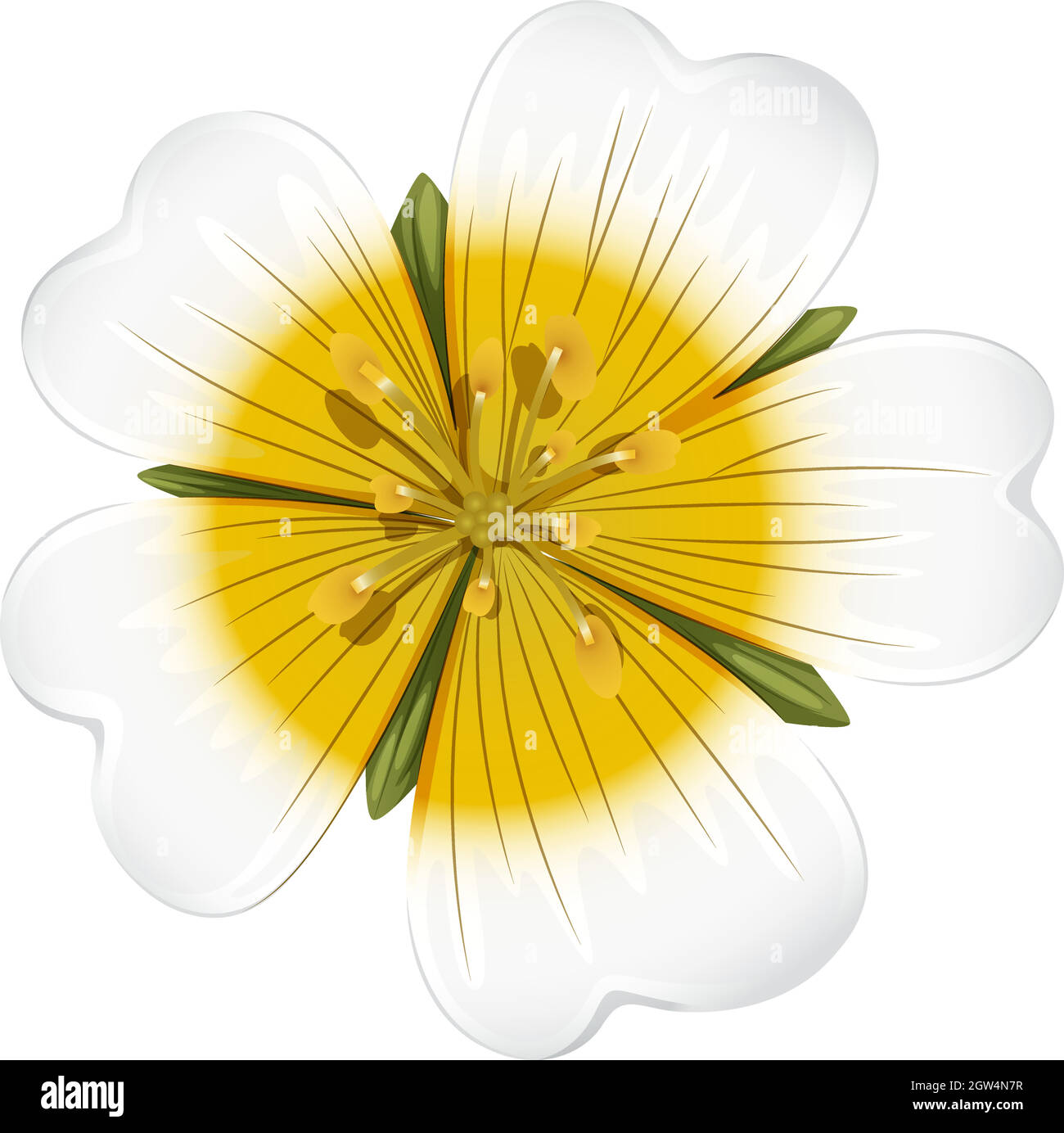 A white blooming flower Stock Vector