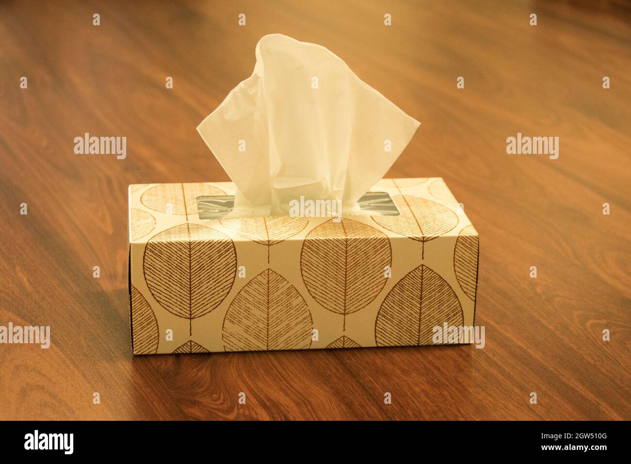 Kleenex tissue box hires stock photography and images Alamy