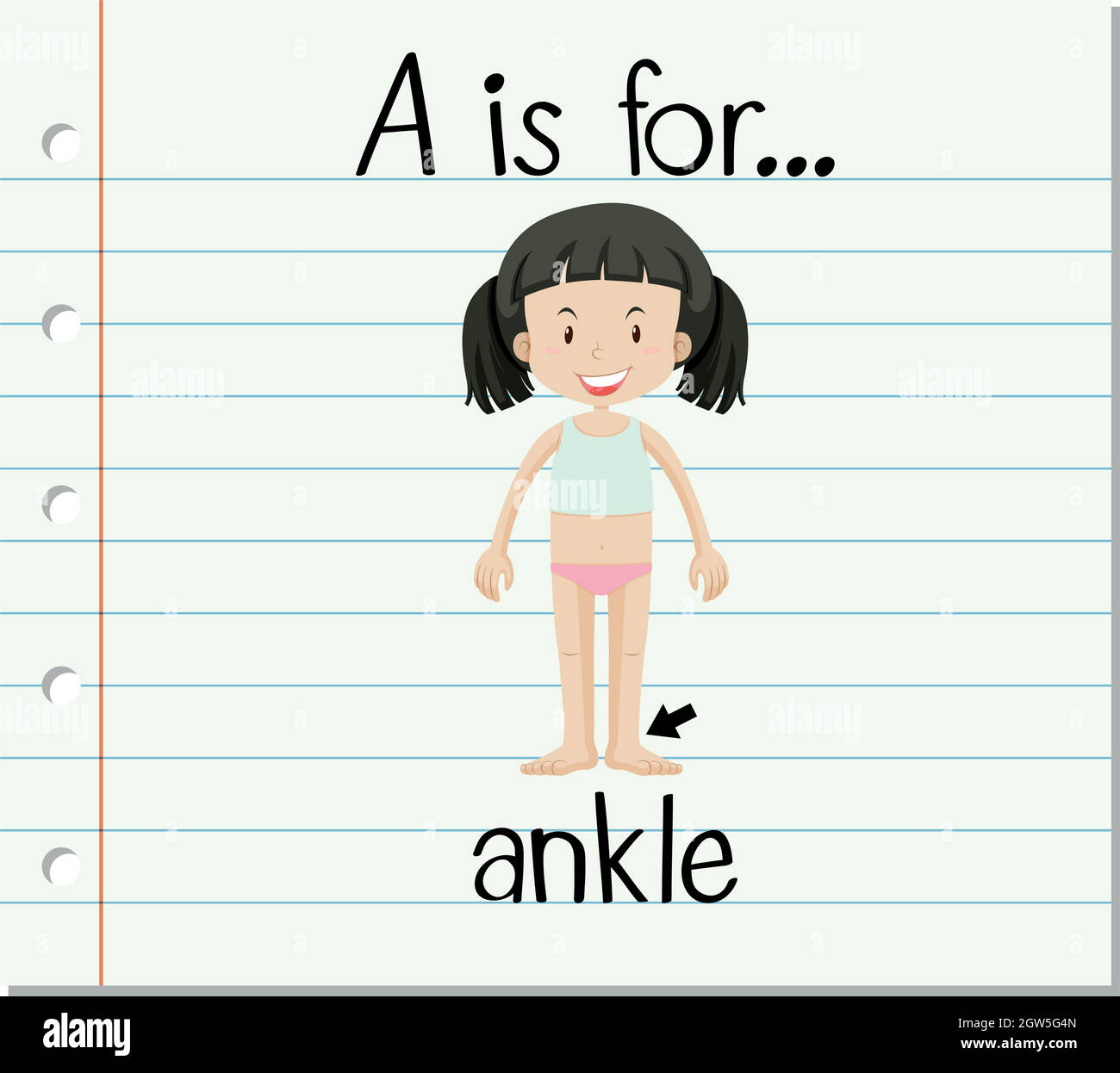 Flashcard letter A is for ankle Stock Vector Image & Art - Alamy