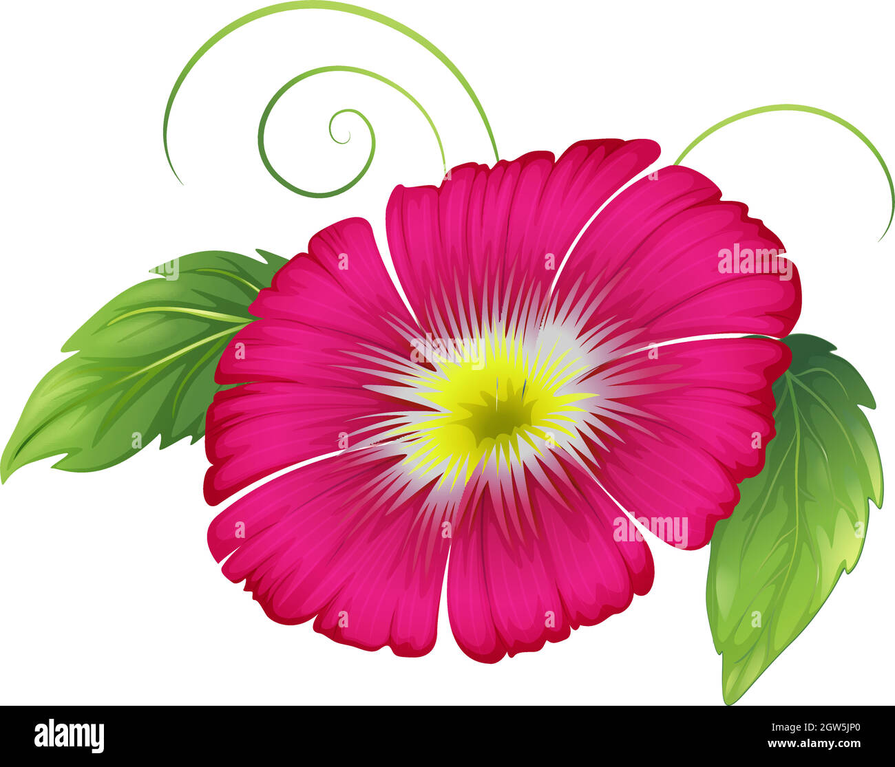 A big carnation pink flower Stock Vector