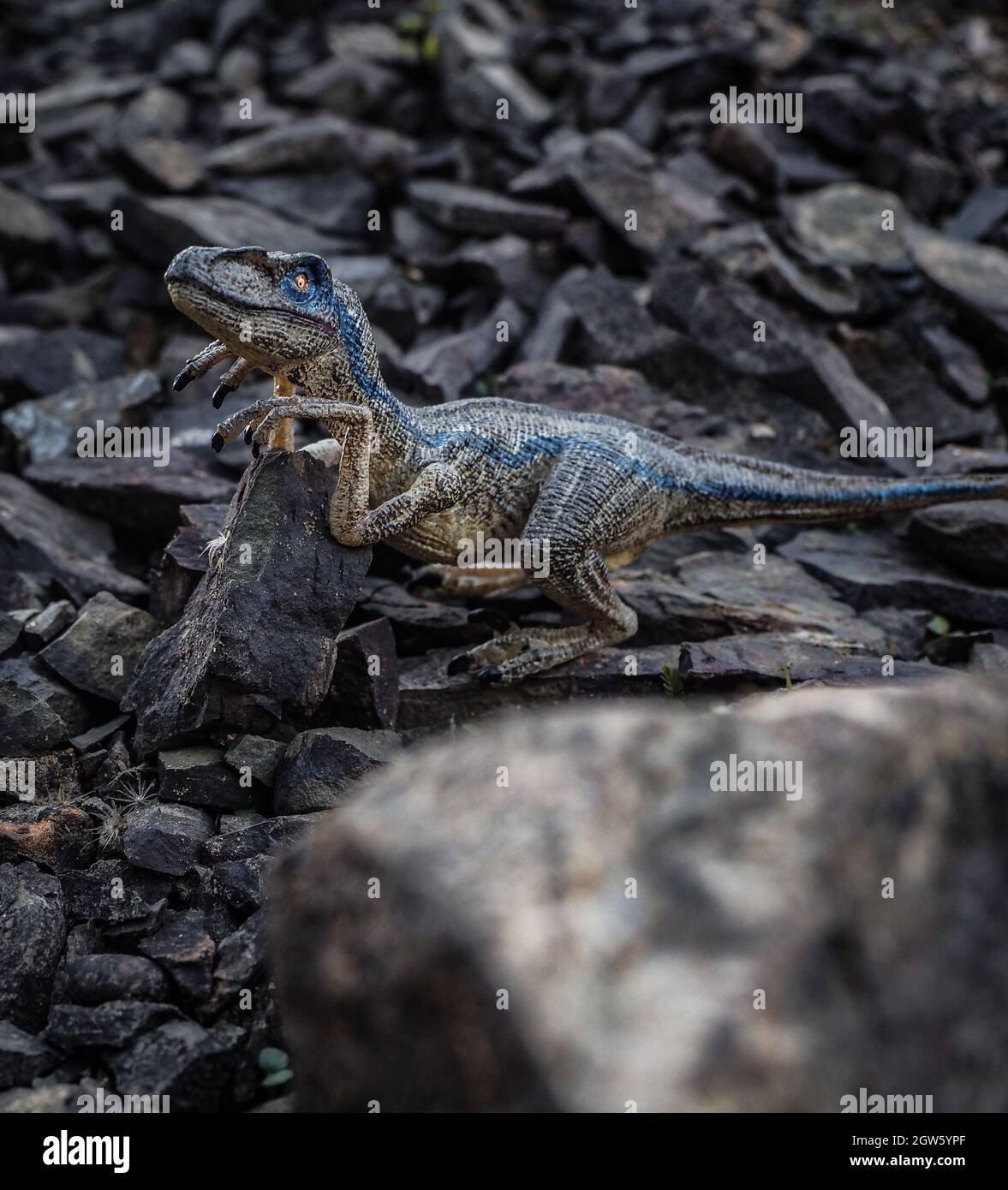 Jurassic asia hi-res stock photography and images - Alamy