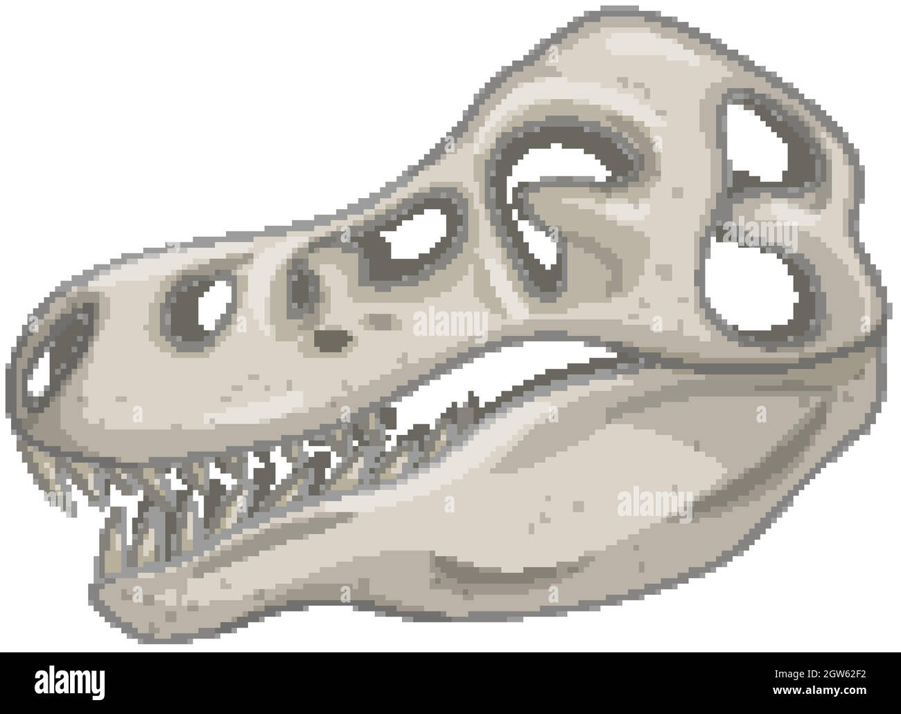Skull of dinosaur skeletons on white background Stock Vector