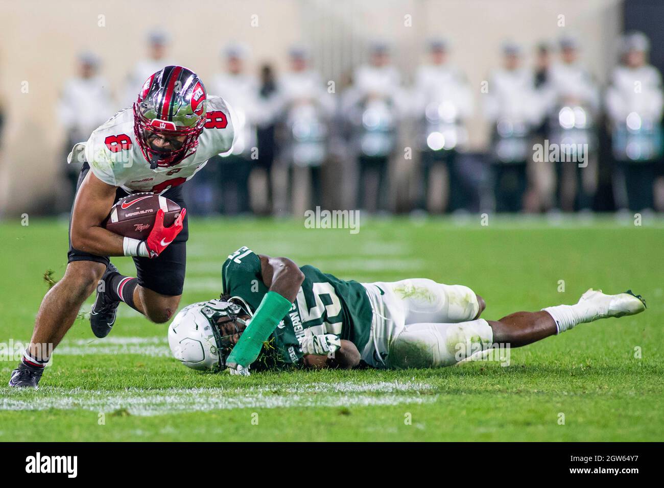 Sterns jpg hires stock photography and images Alamy
