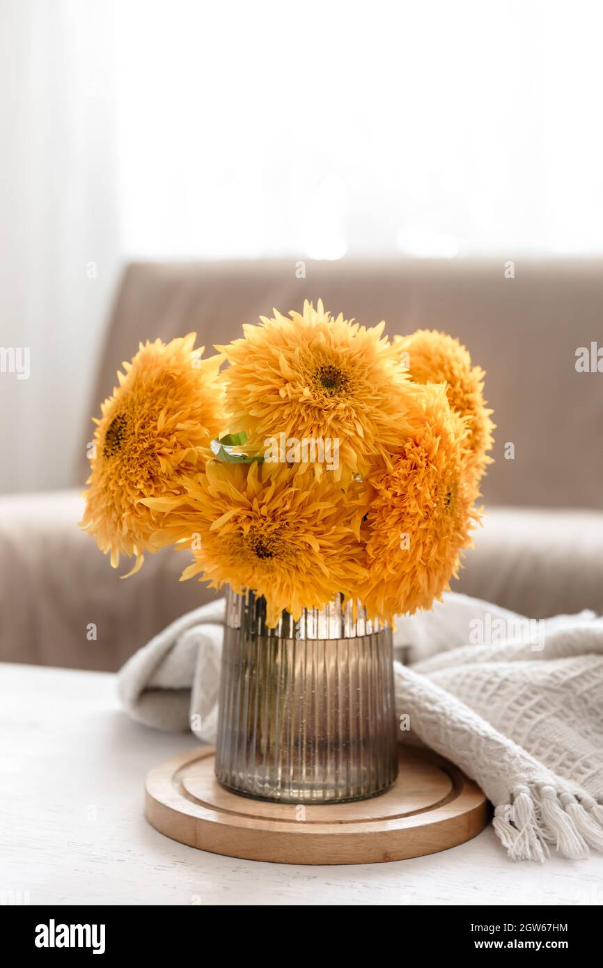 A bouquet of bright sunflowers in a glass vase on a blurred background ...