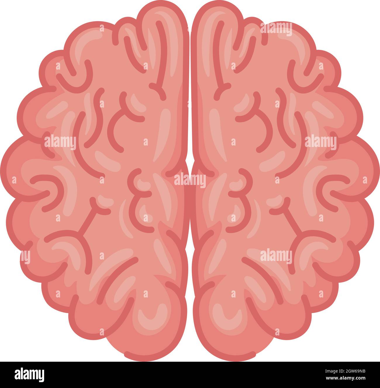 human brain organ Stock Vector Image &amp; Art - Alamy