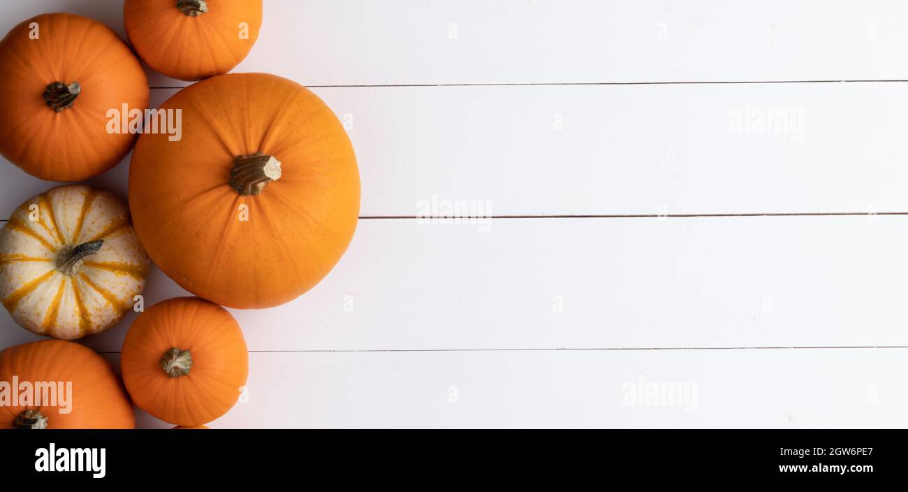 Many pumpkins top view border frame banner design over a rustic white ...