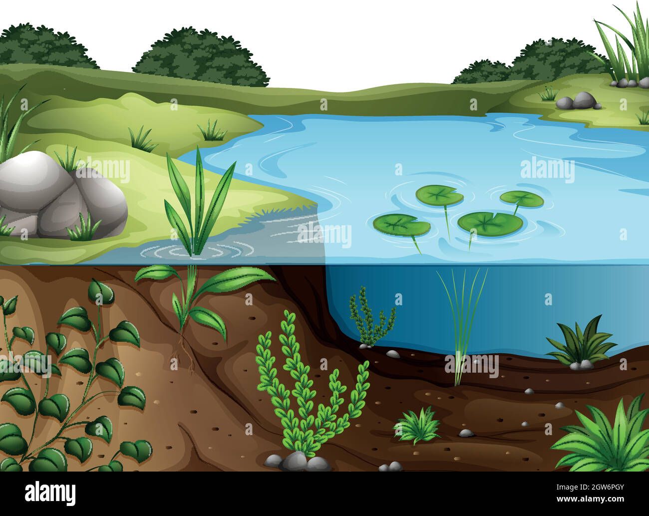Green lake algae Stock Vector Images - Alamy