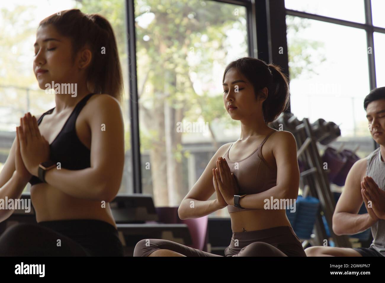 A Group Of Young Asian People Who Are In Good Shape Studying Yoga With A Trainer They Are In A Easy Pose Close Up Shot Of Female Stock Photo Alamy