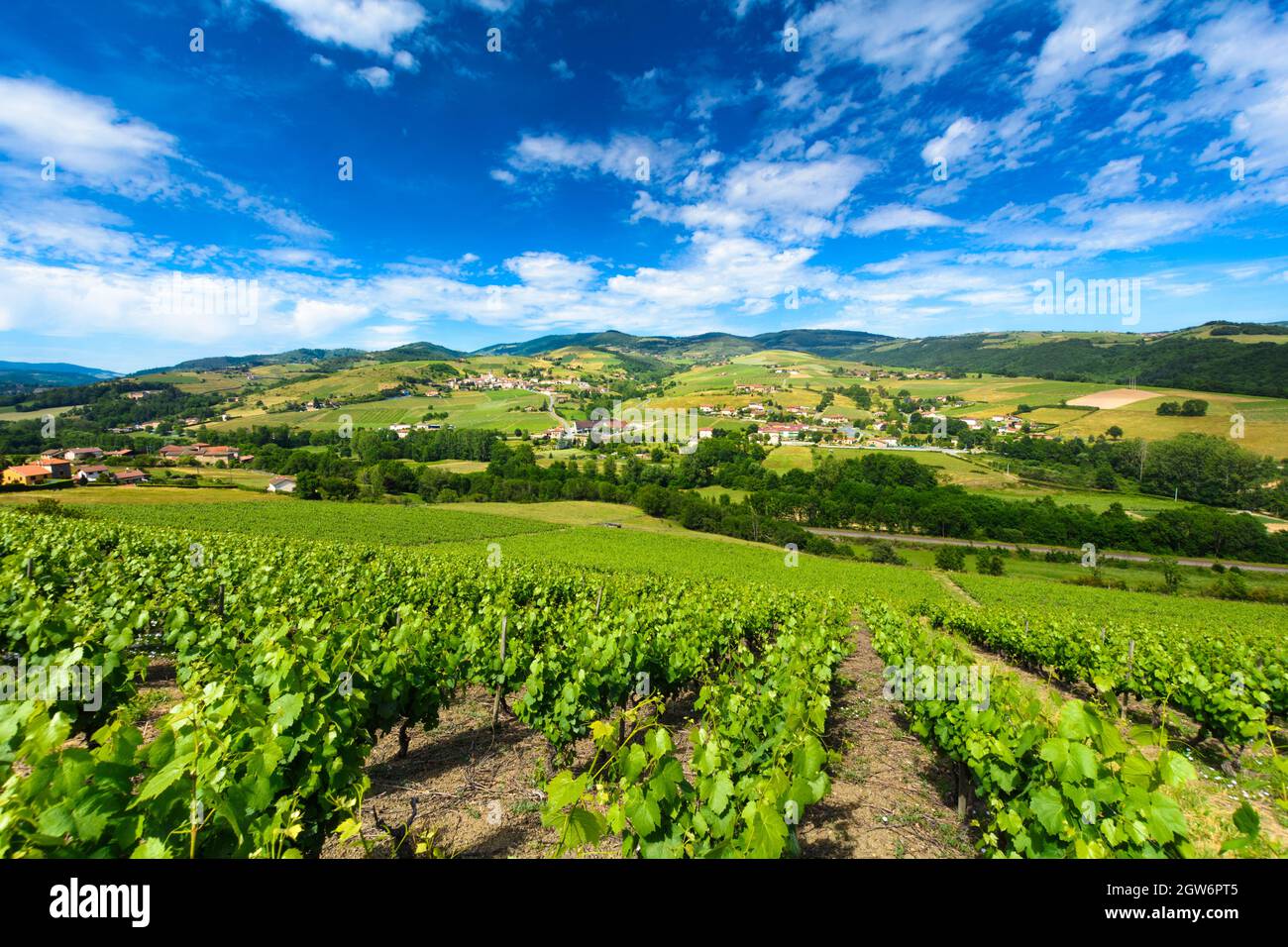 Ternand Vineyards of Ternand and Letra villages in Beaujolais in France Stock ...
