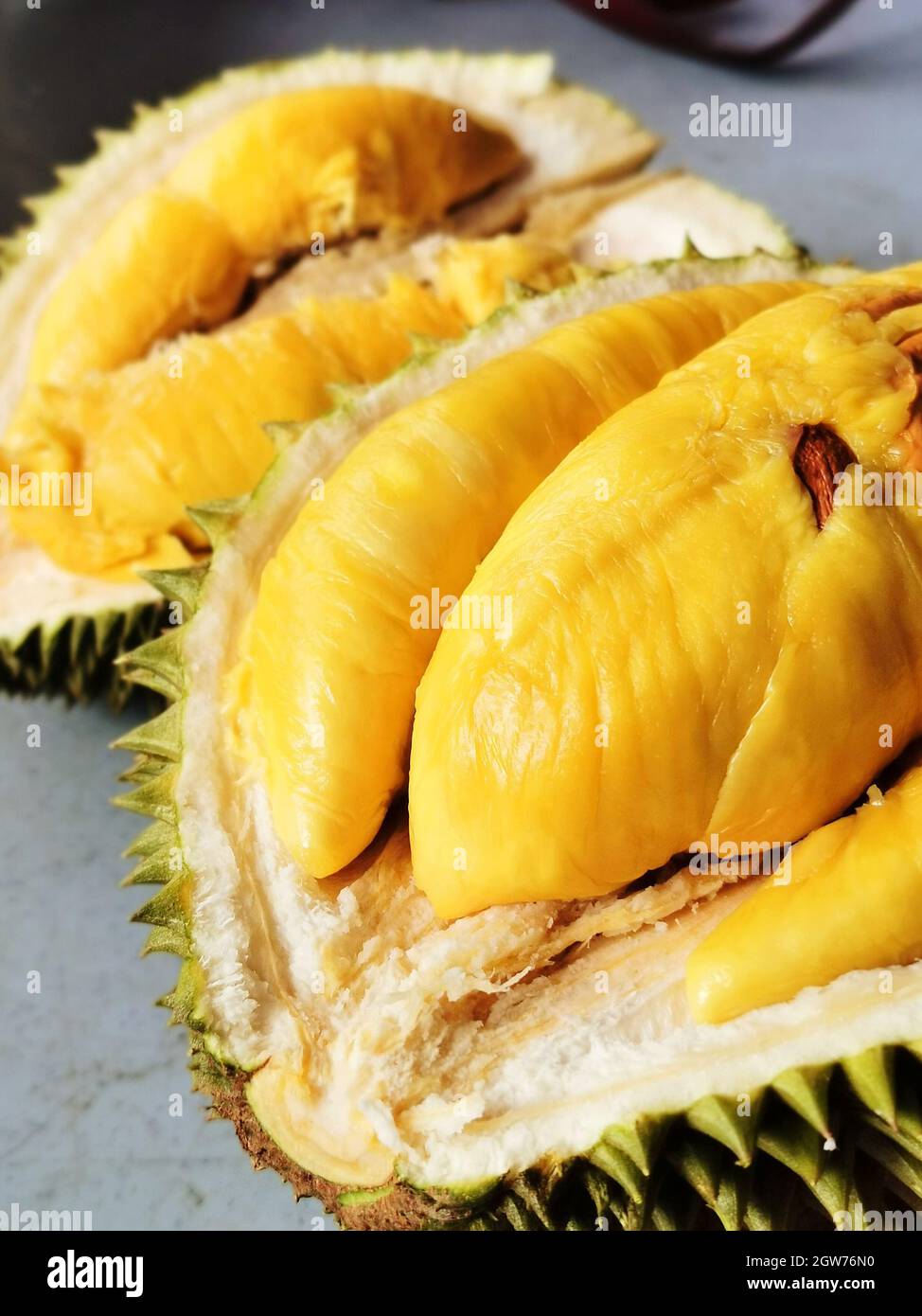 Musang gambar king durian Durian Musang