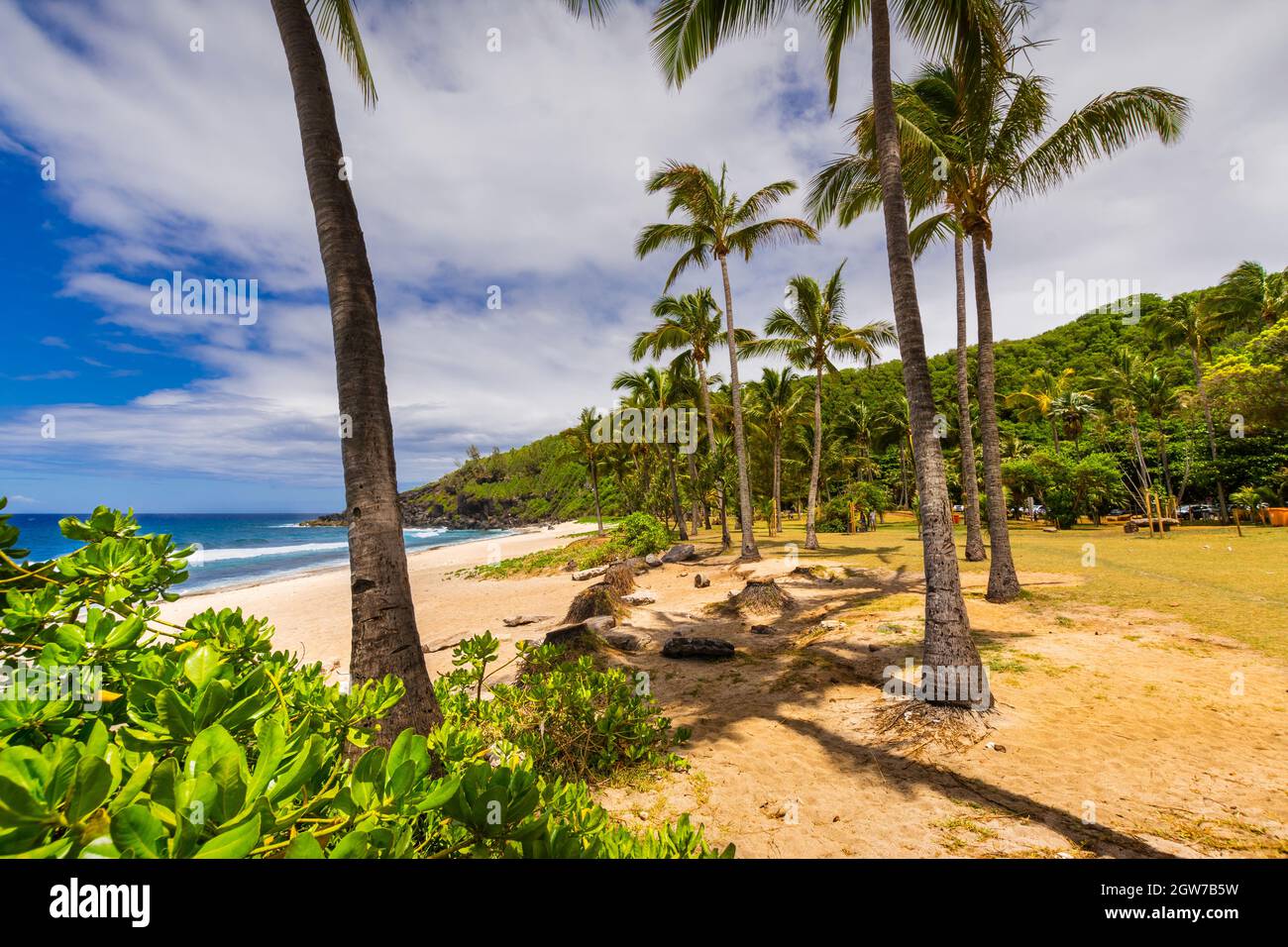 Sunny day with coconut and sand at Grande Anse Beach, Reunion Island Stock Photo Alamy