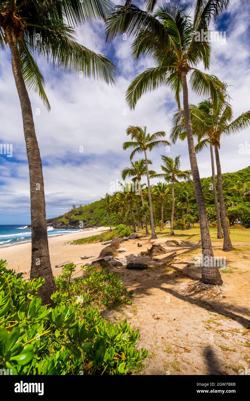 Sunny day with coconut and sand at Grande Anse Beach, Reunion Island Stock Photo Alamy