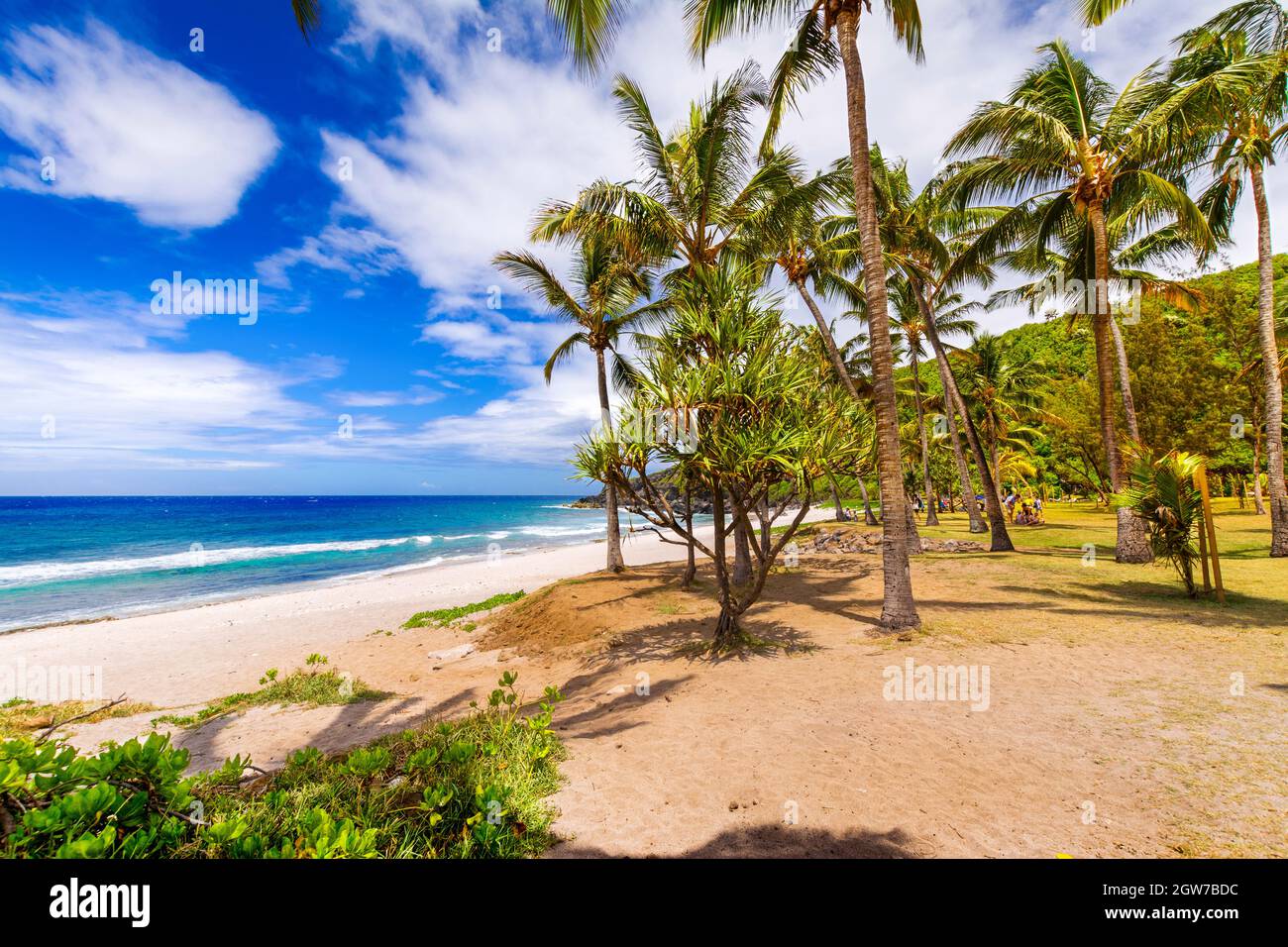 Sunny day with coconut and sand at Grande Anse Beach, Reunion Island Stock Photo Alamy