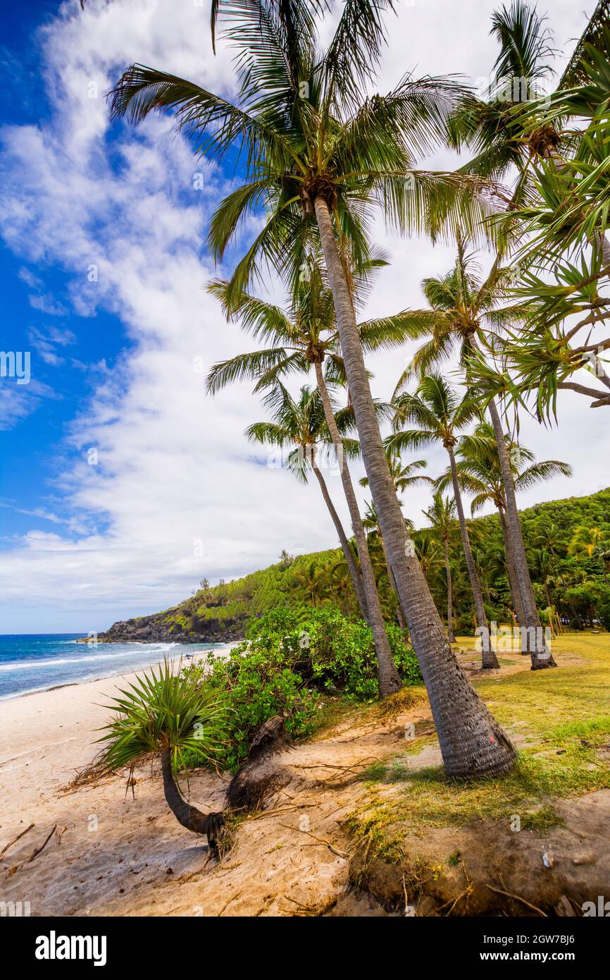 Sunny day with coconut and sand at Grande Anse Beach, Reunion Island Stock Photo Alamy