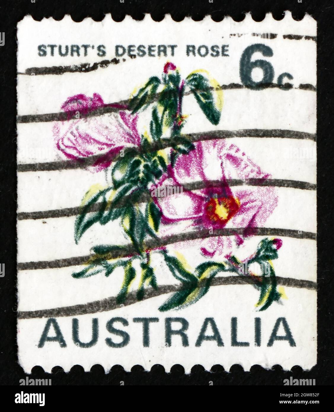 AUSTRALIA - CIRCA 1970: a stamp printed in the Australia shows Stuart’s Desert Rose, Gossypium Sturtianum, Northern Territory, State Flower, circa 197 Stock Photo