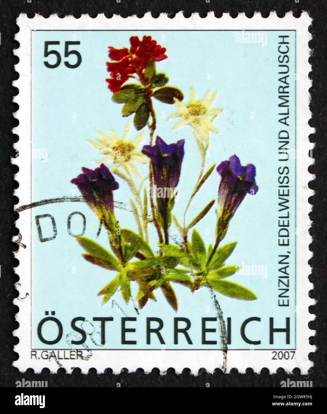 AUSTRIA - CIRCA 2007: a stamp printed in the Austria shows Alpine Rose, Edelweiss and Blue Gentian, Flowers, circa 2007 Stock Photo