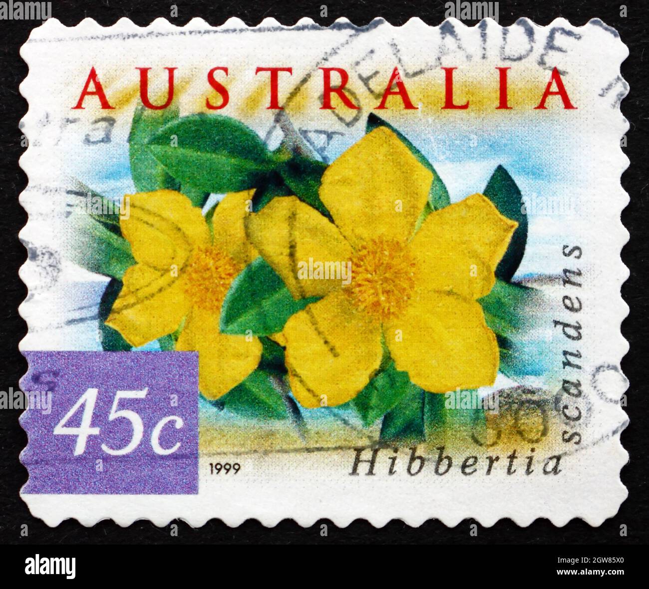 AUSTRALIA - CIRCA 1999: a stamp printed in the Australia shows Snake Vine, Hibbertia Scandens, Vine, circa 1999 Stock Photo