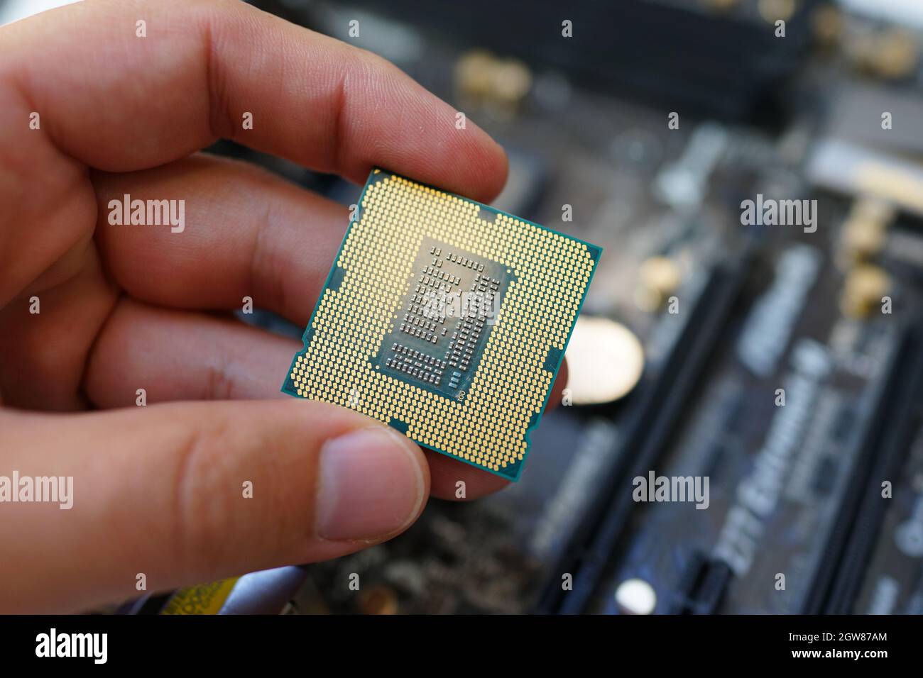 Working on motherboard and one pc processor Stock Photo - Alamy