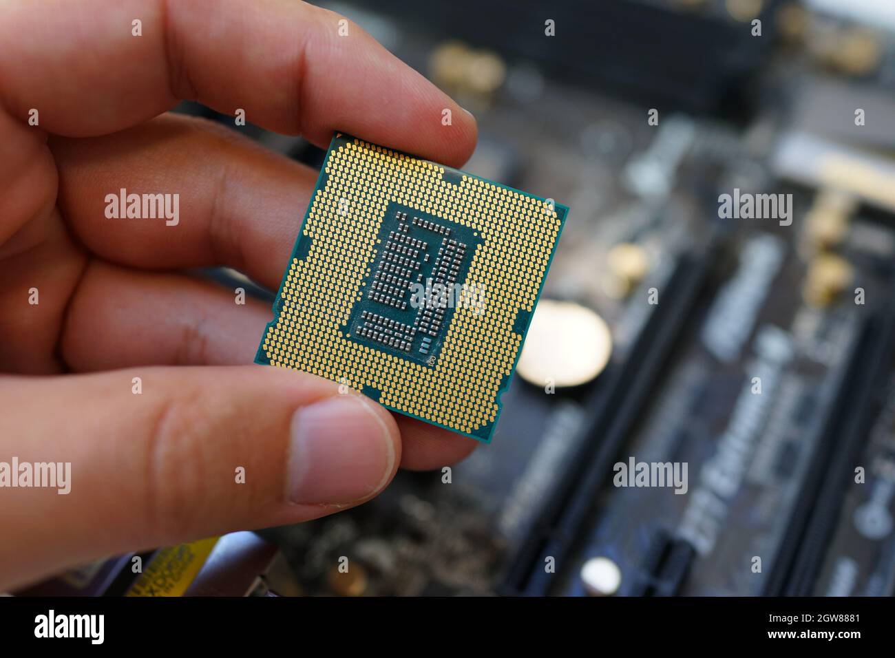 Working on the motherboard and pc processor Stock Photo - Alamy