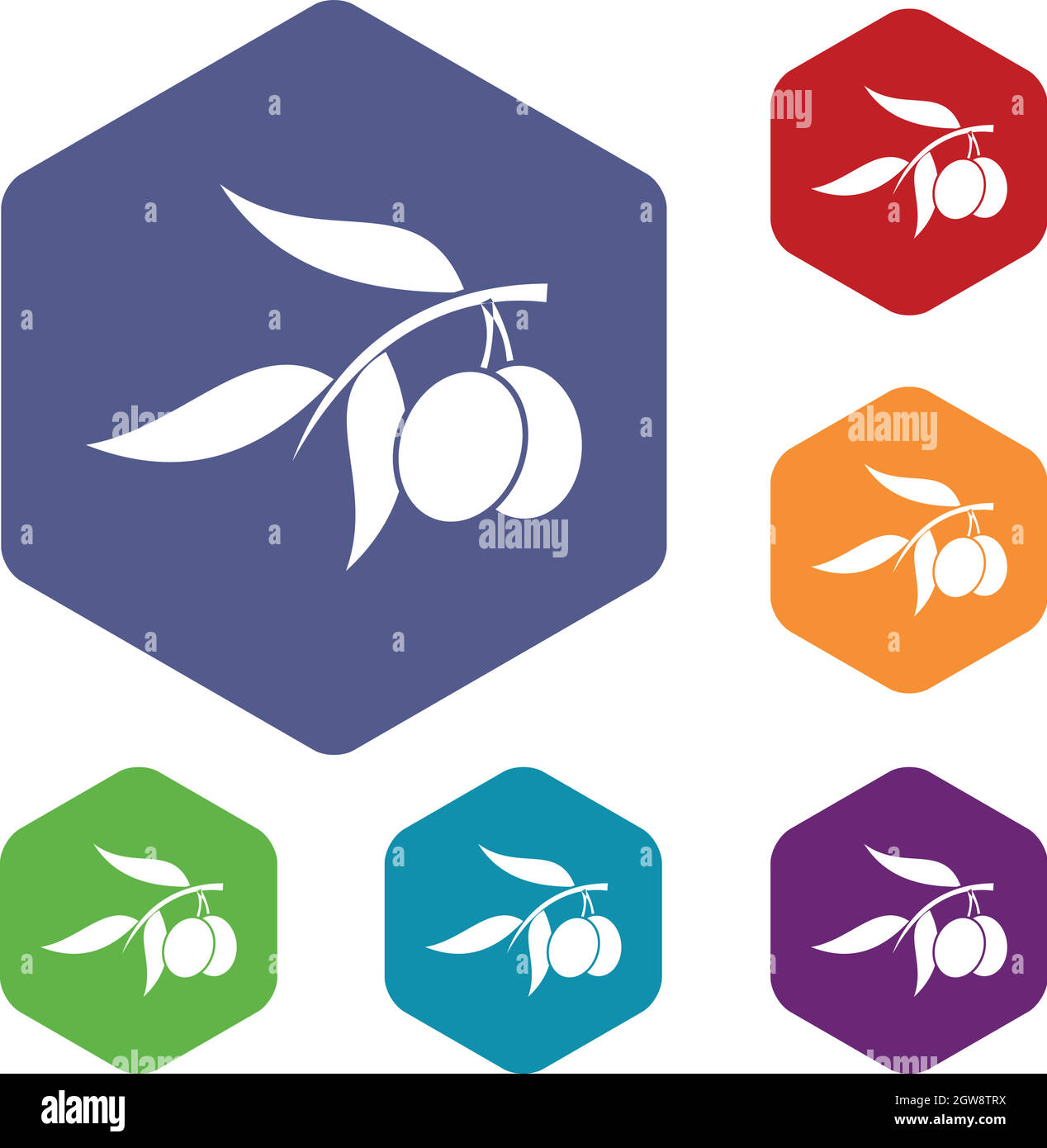 Olive tree branch with two olives icons set Stock Vector