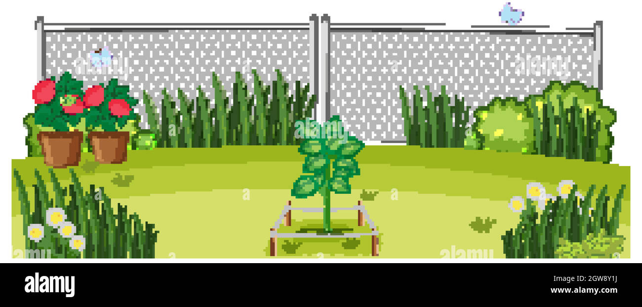 Outdoor plants garden scene Stock Vector Image & Art - Alamy