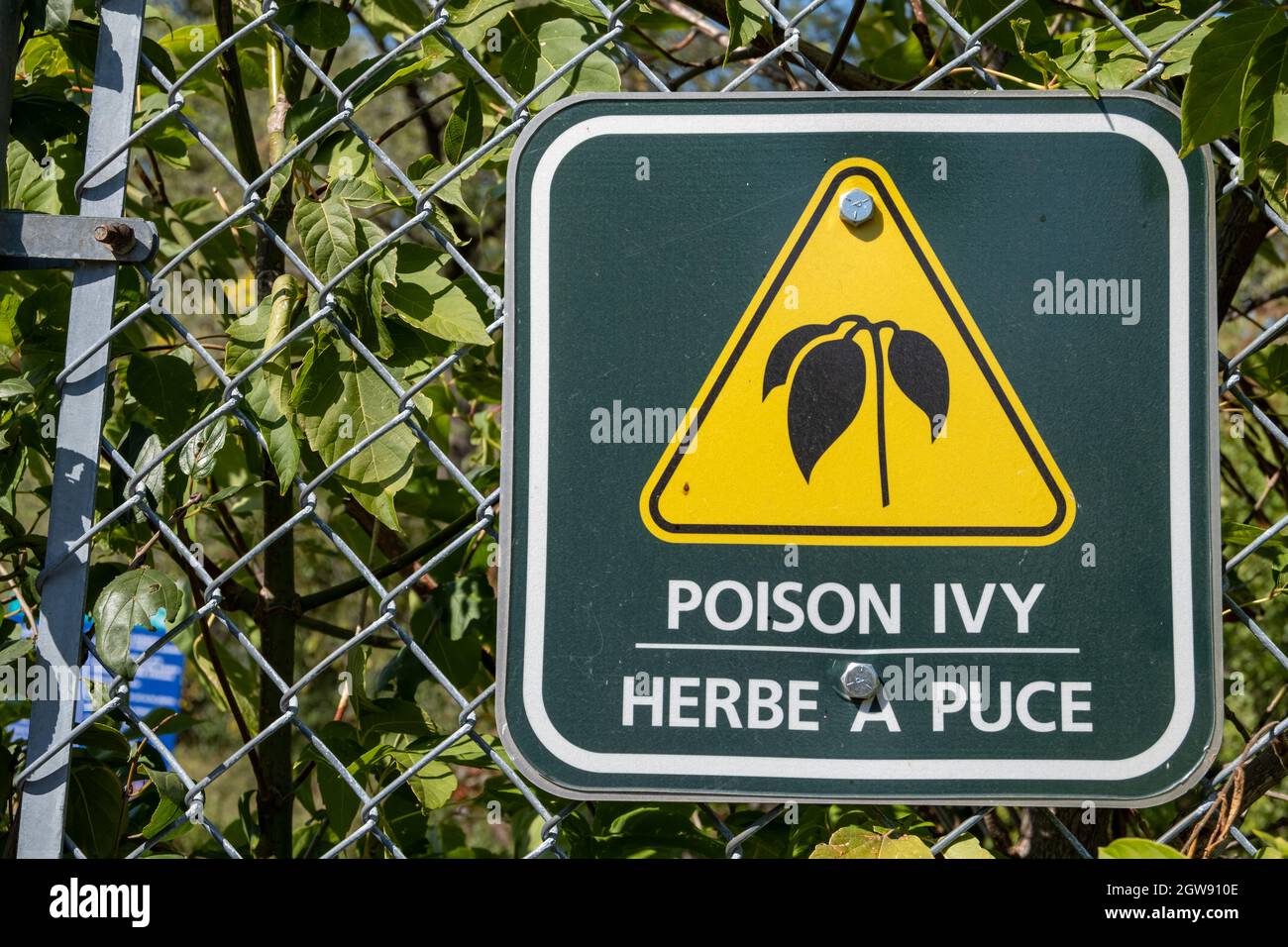Caution poison ivy sign warning hi-res stock photography and images - Alamy