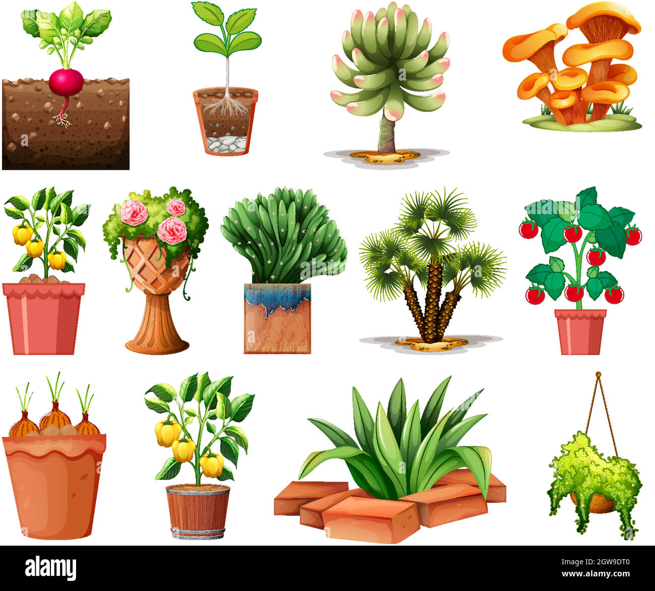 Set of different plants in pots isolated on white background Stock ...