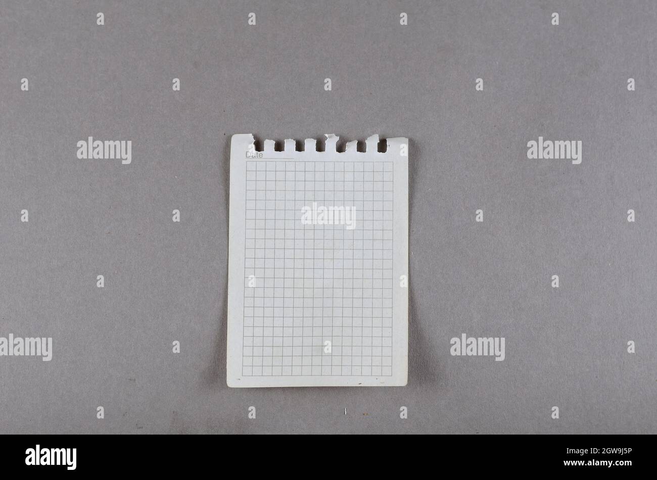 Sheet of paper torn from spring-loaded notebook on gray background. Top ...