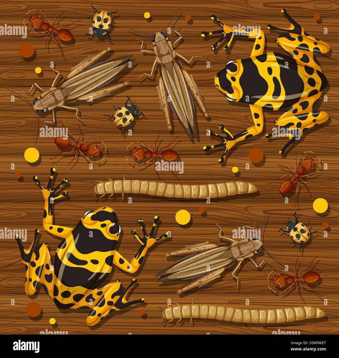 Set of different insects on wooden wallpaper background Stock Vector ...