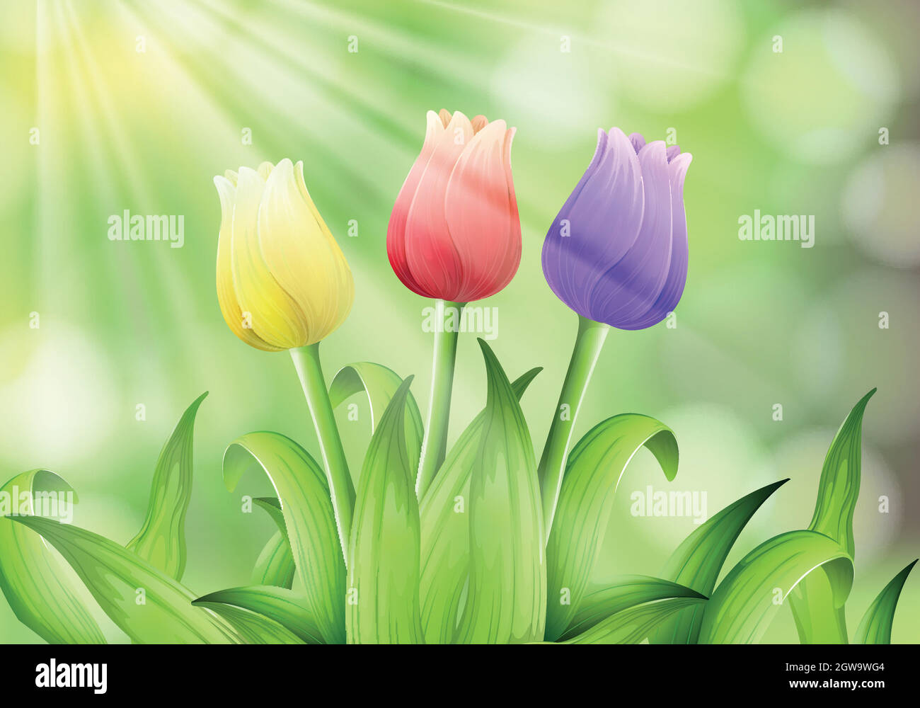 Colourful Tulip in Nature Background Stock Vector