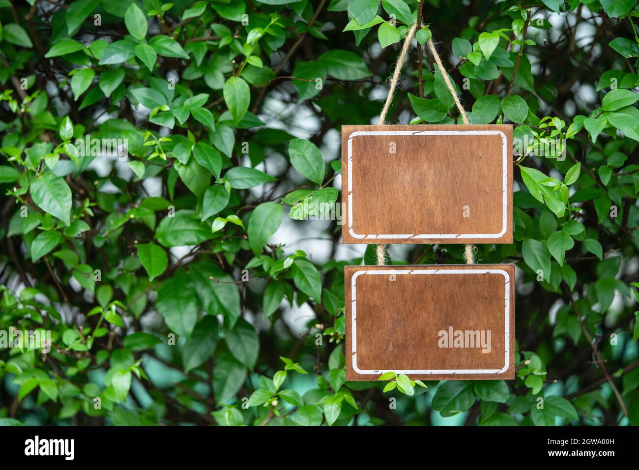 Blank Wooden Sign Brown Color Background Green Leaves Stock Photo Alamy