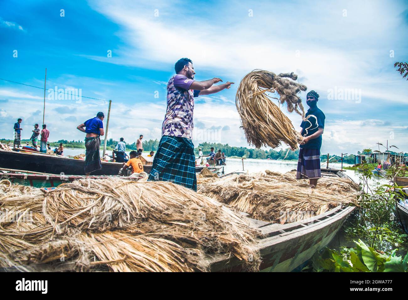 Jute process in bangladesh hi-res stock photography and images - Alamy