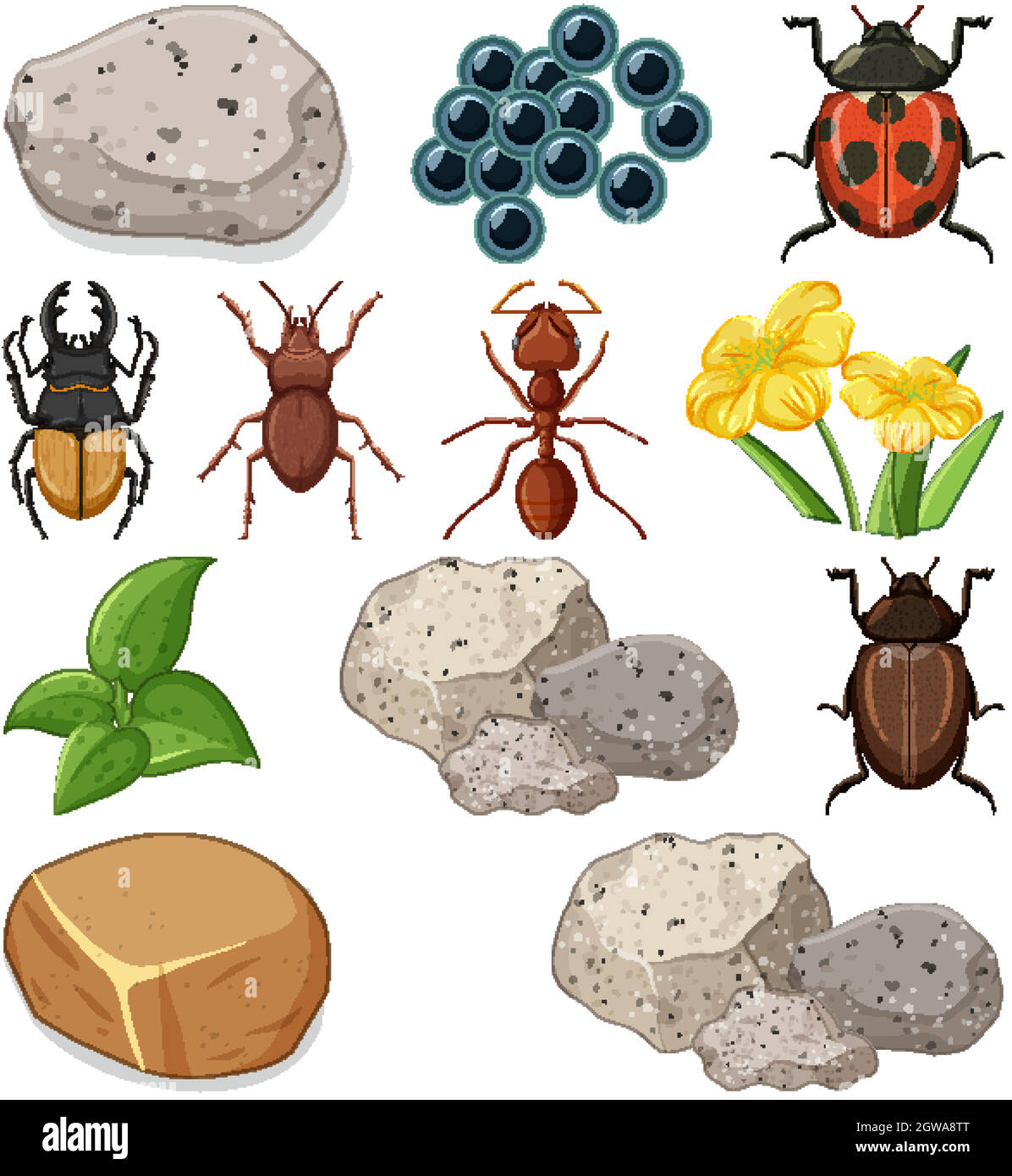Different types of insect with nature elements Stock Vector Image & Art ...