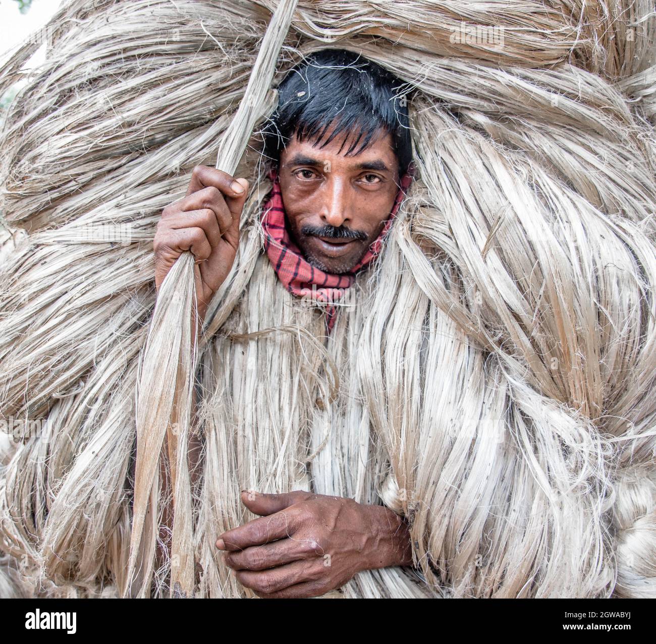 Jute like fibre hi-res stock photography and images - Alamy