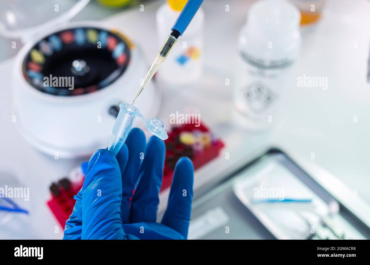 Police scientist prepares vial for crime lab analysis Stock Photo