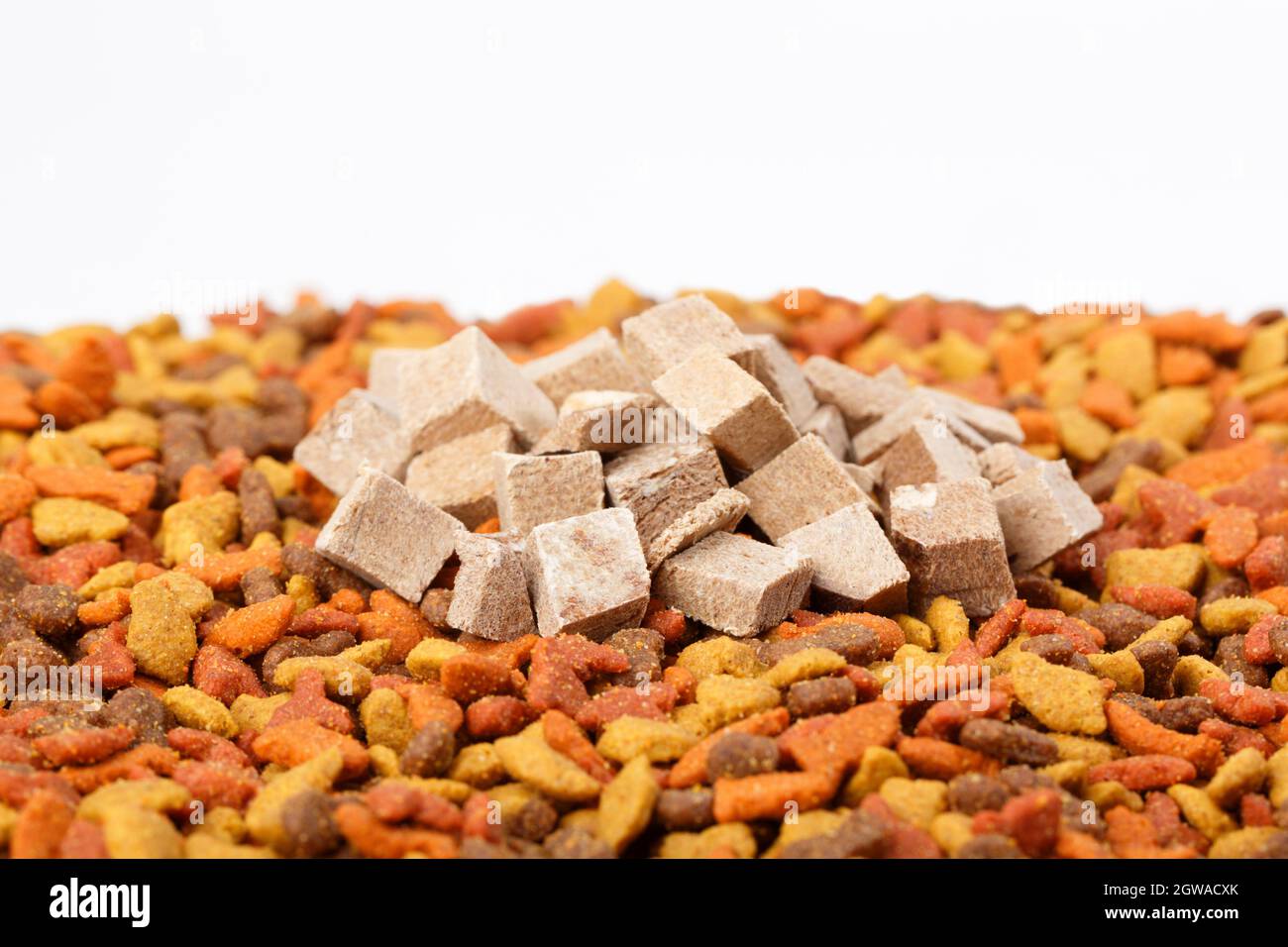 Cat chicken hires stock photography and images Alamy