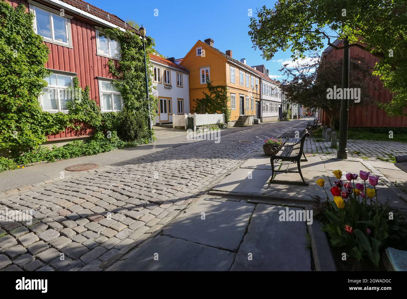 Street in Bakklandet, popular touristic district in the Norwegian city Trondheim Stock Photo