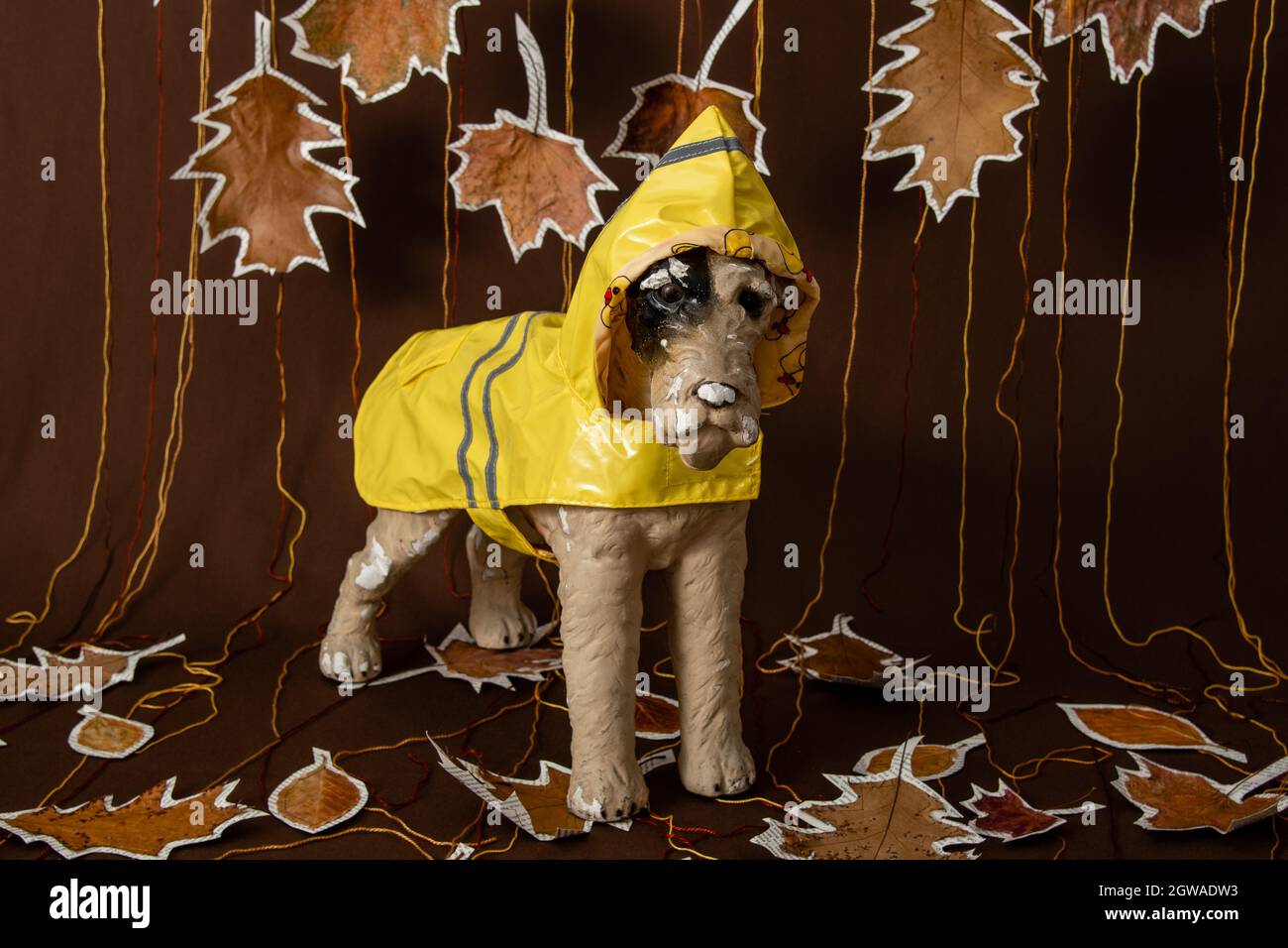 dog with yellow rain coat fall autumn Stock Photo Alamy